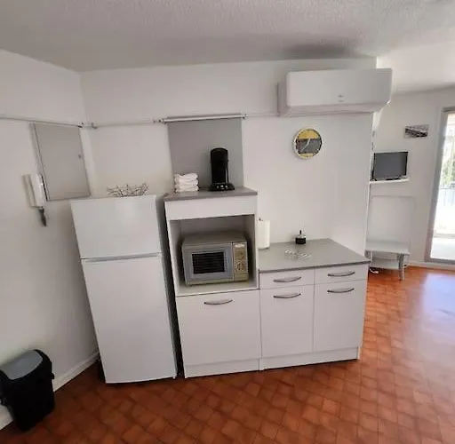 Joli T2 Centre Port Quai D'honneur * Agde