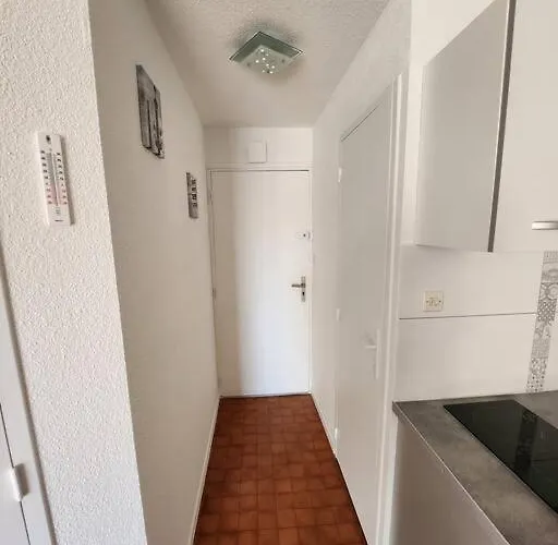 Joli T2 Centre Port Quai D'honneur *